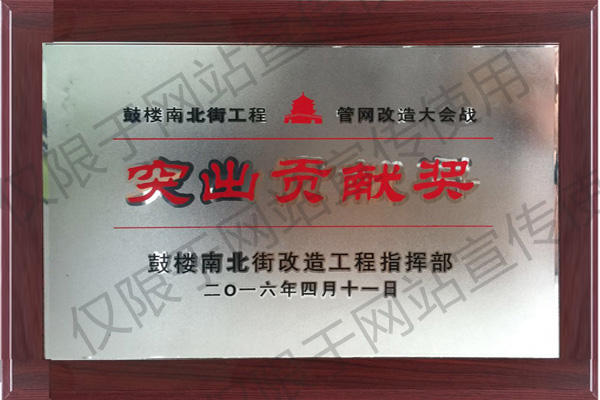 鼓樓南北街突出貢獻(xiàn)獎